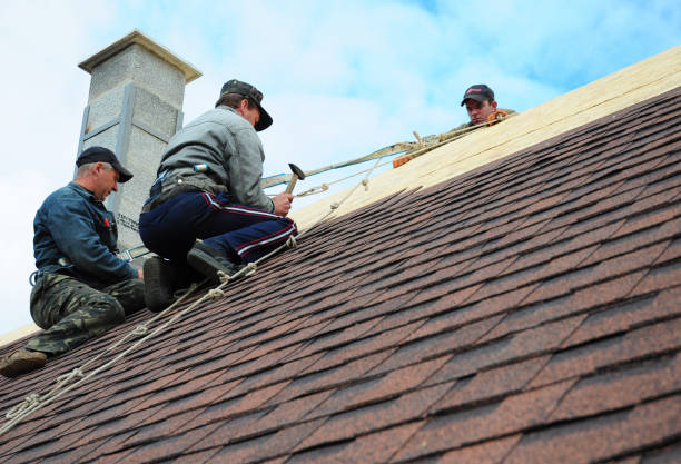 Best New Roof Installation  in White Knoll, SC